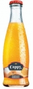 Cappy 0.2l Apfelsinen Nektar Glas /24/ (VO)